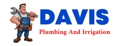 Trusted plumber in MILTON